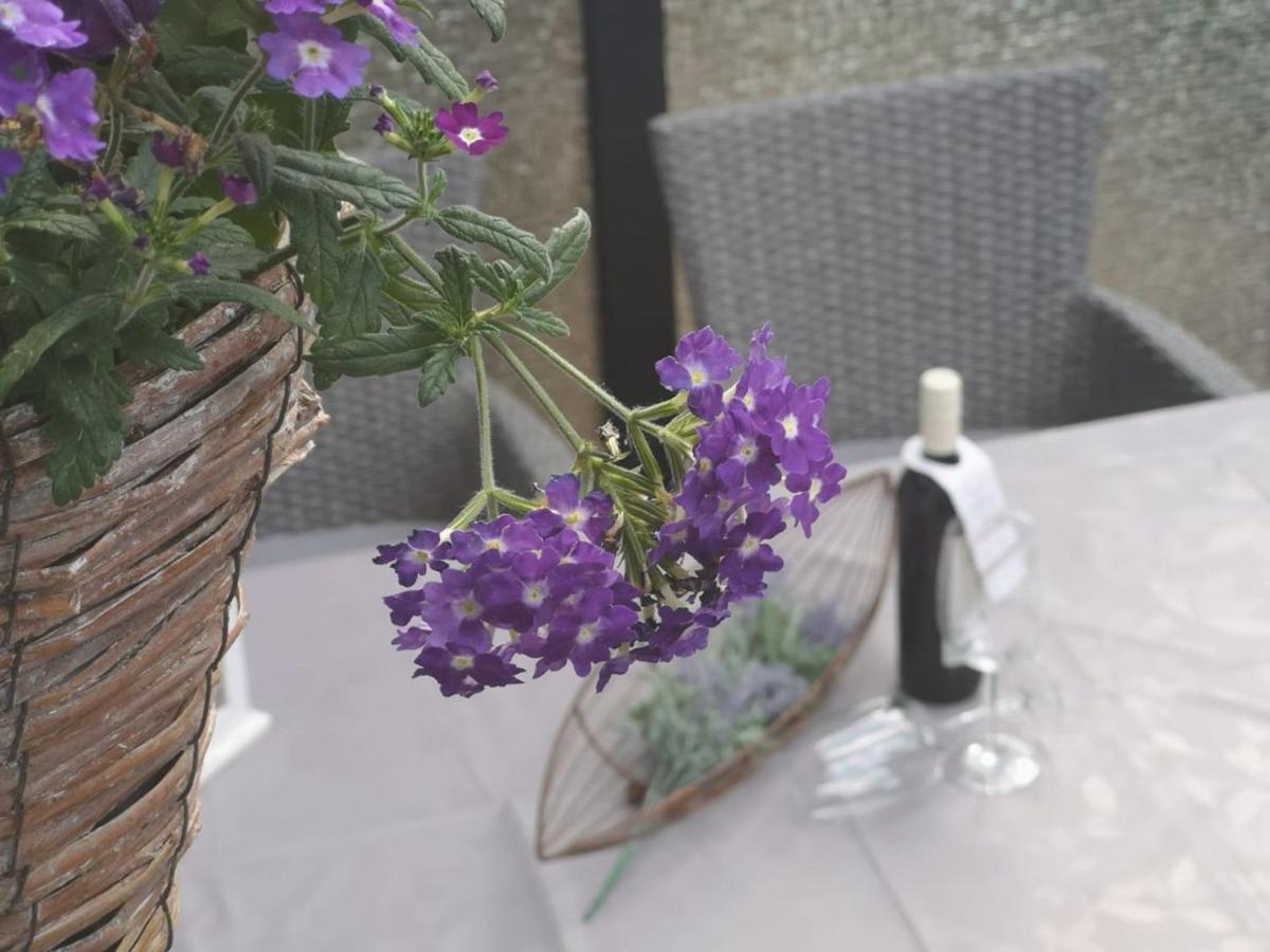 Casa Carlotta - Keine Monteure Villa Langelsheim Ngoại thất bức ảnh